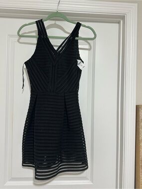 LF Black Striped Crochet Fit & Flare Mini Dress